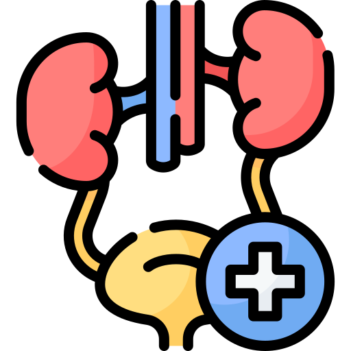 Urinary Problem